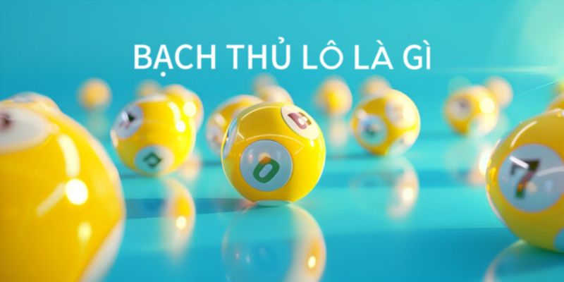 Giới thiệu bạch thủ lô là gì?