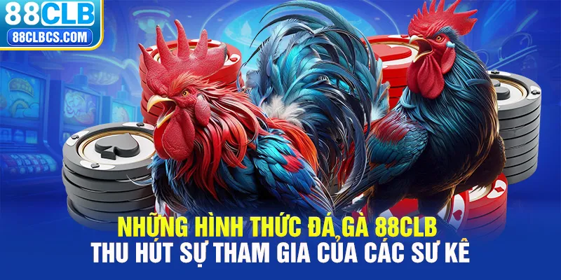 Những hình thức đá gà 88CLB thu hút sự tham gia của các sư kê