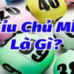 Xỉu chủ là gì-88clb